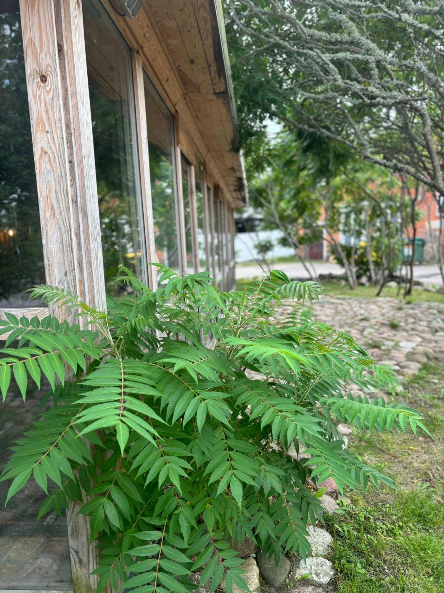 Butterfly House Apartment Pavilosta Luaran gambar